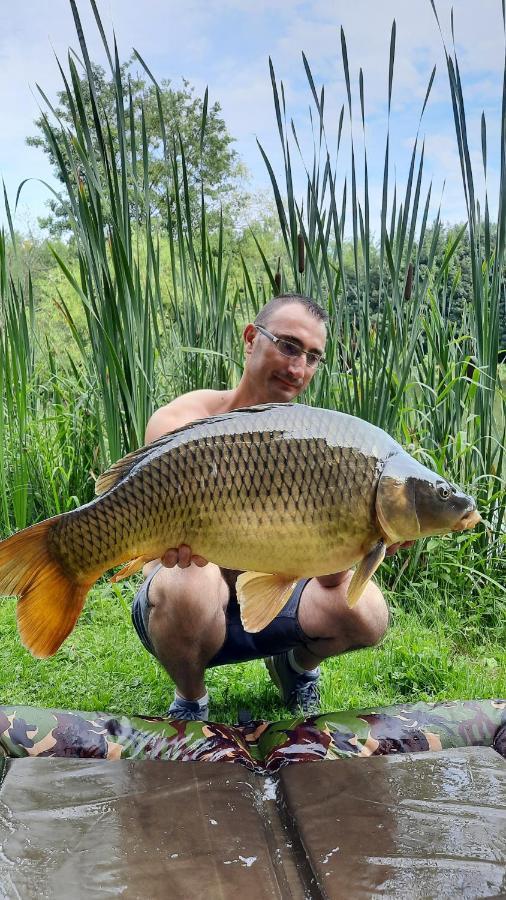 Les Etangs Du Moulin D'Harcy Panzió Lonny Kültér fotó