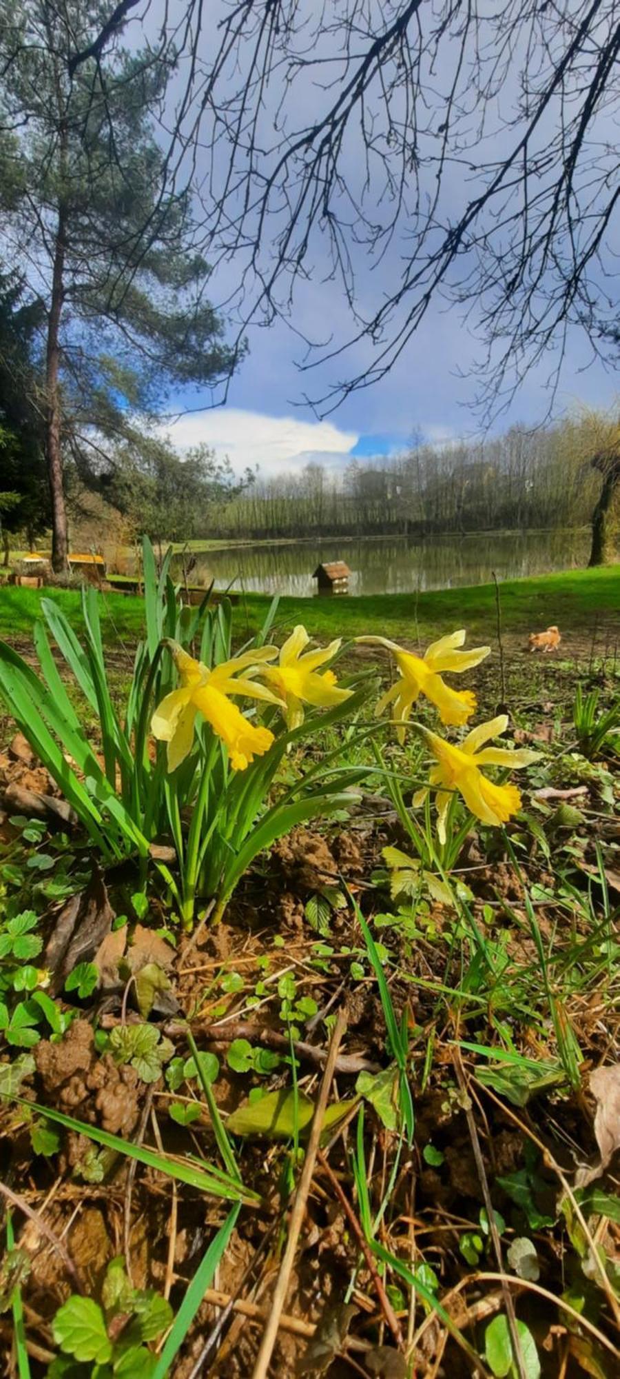 Les Etangs Du Moulin D'Harcy Panzió Lonny Kültér fotó